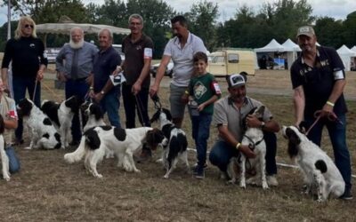 Régionale d&rsquo;Elevage du CEF dans le Sud-Ouest