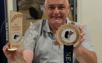 Des moments photos de la Nationale d’Elevage 2025 du CEF à Landrethun Le Nord (62)