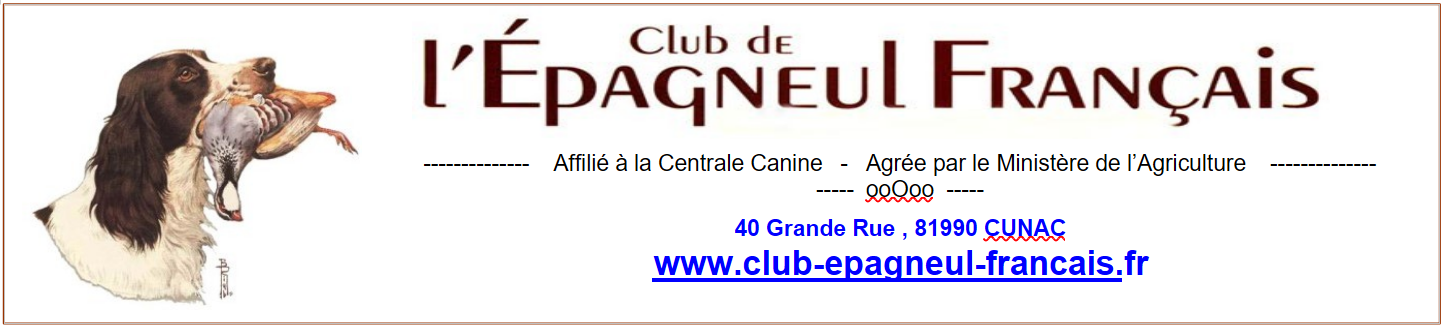 Capture decran 2025 11 22 000323