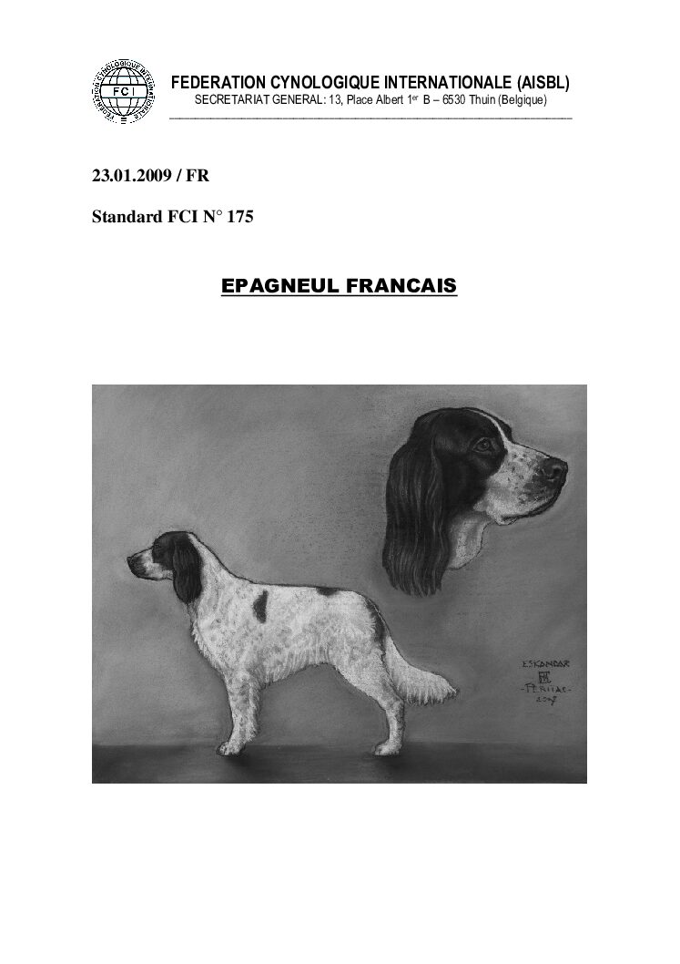 Standard FCI N°