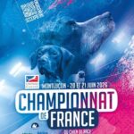 Club de l'Epagneul Français