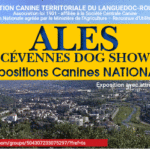 Club de l'Epagneul Français