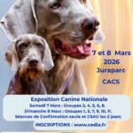 Club de l'Epagneul Français