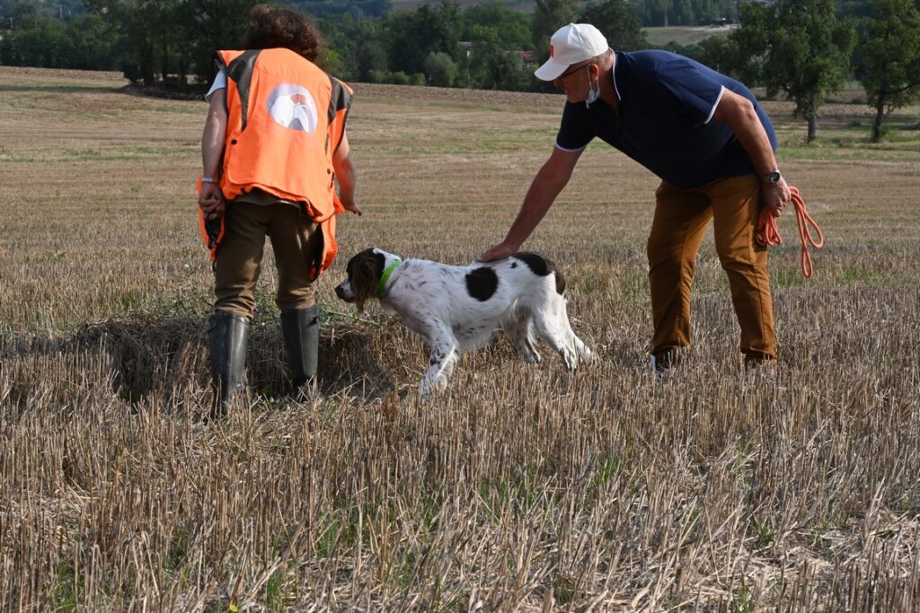 Club de l'Epagneul Français