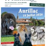 Club de l'Epagneul Français