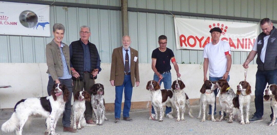 Spéciale du Club de l’Épagneul Français à Monclar de Quercy (82) Le 25 avril 2026 !